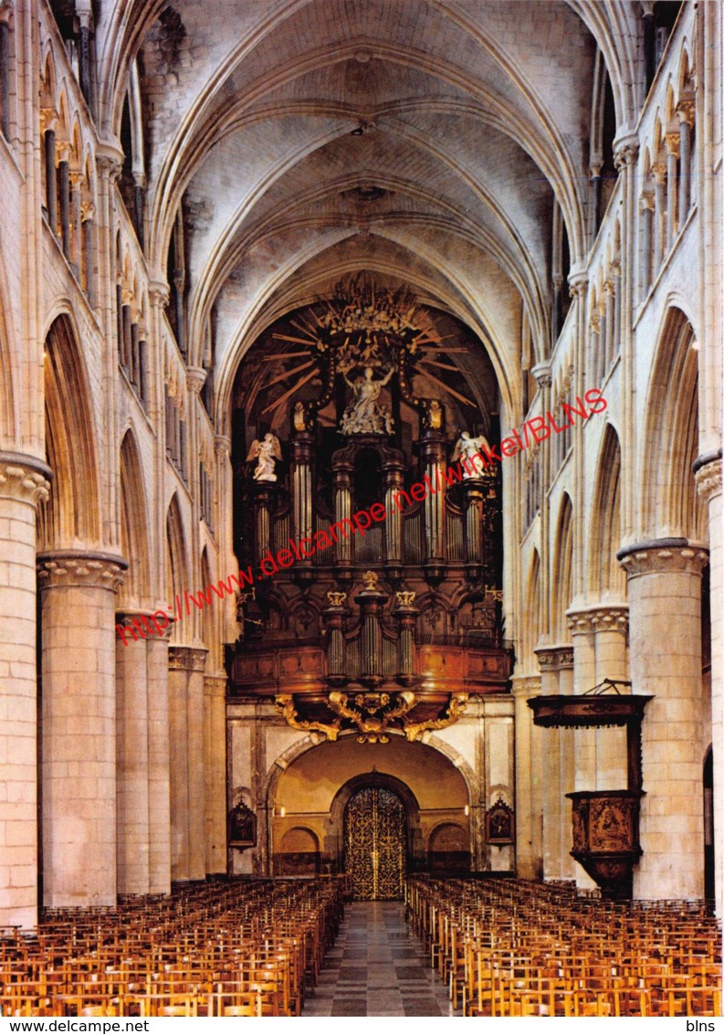 Basiliek - Tongeren - Tongeren