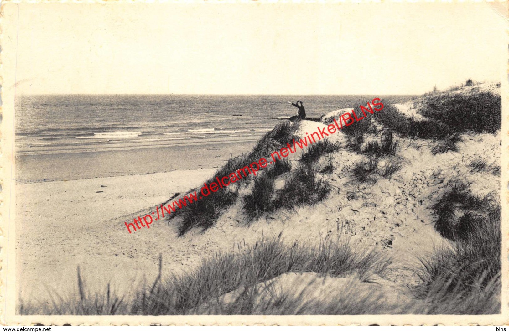 Duinen - Oostduinkerke - Oostduinkerke