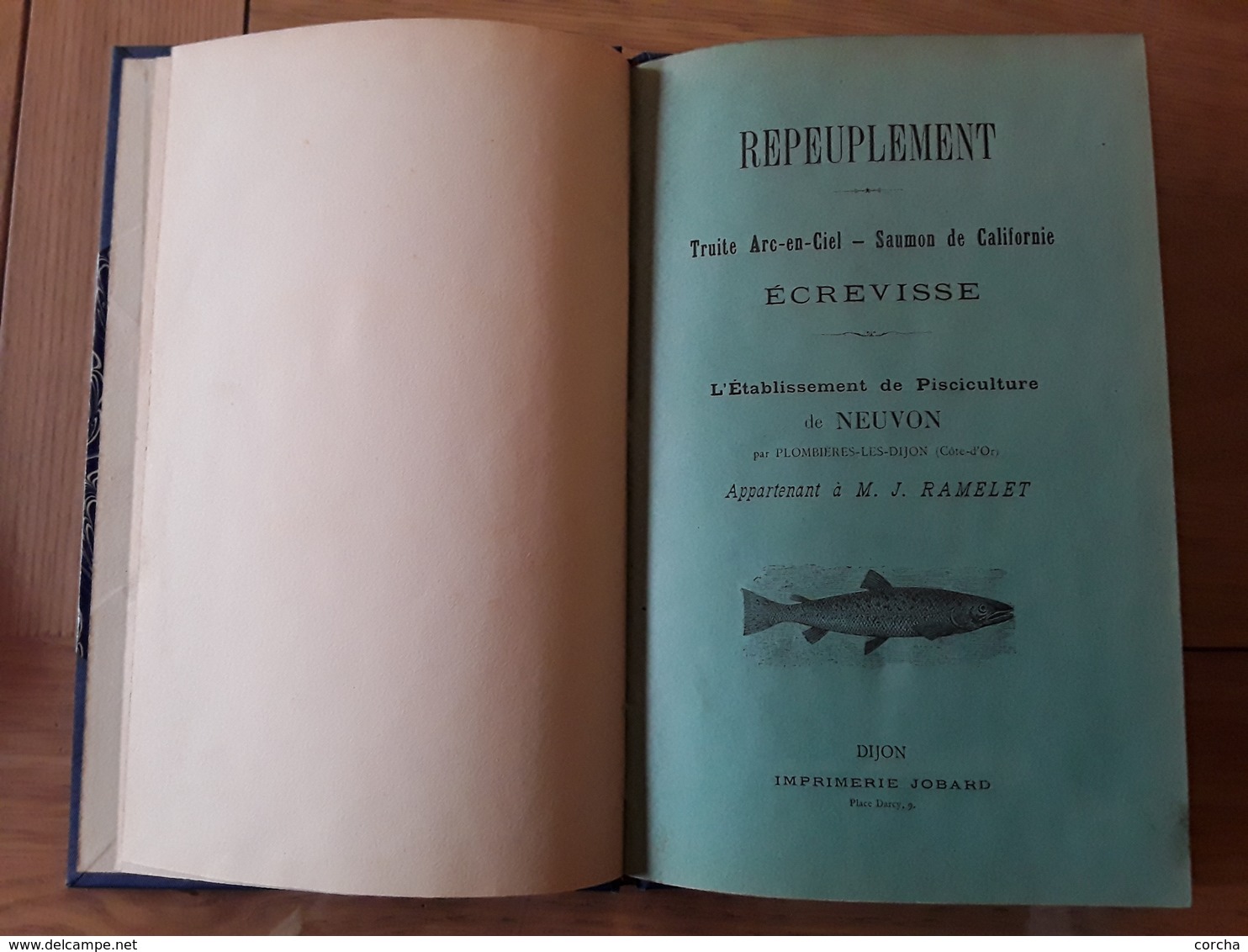 Repeuplement Truite Arc-en-ciel Saumon Ecrevisse Pisciculture Neuvon à Plombieres Les Dijon Poisson Pêche RARE - Bourgogne