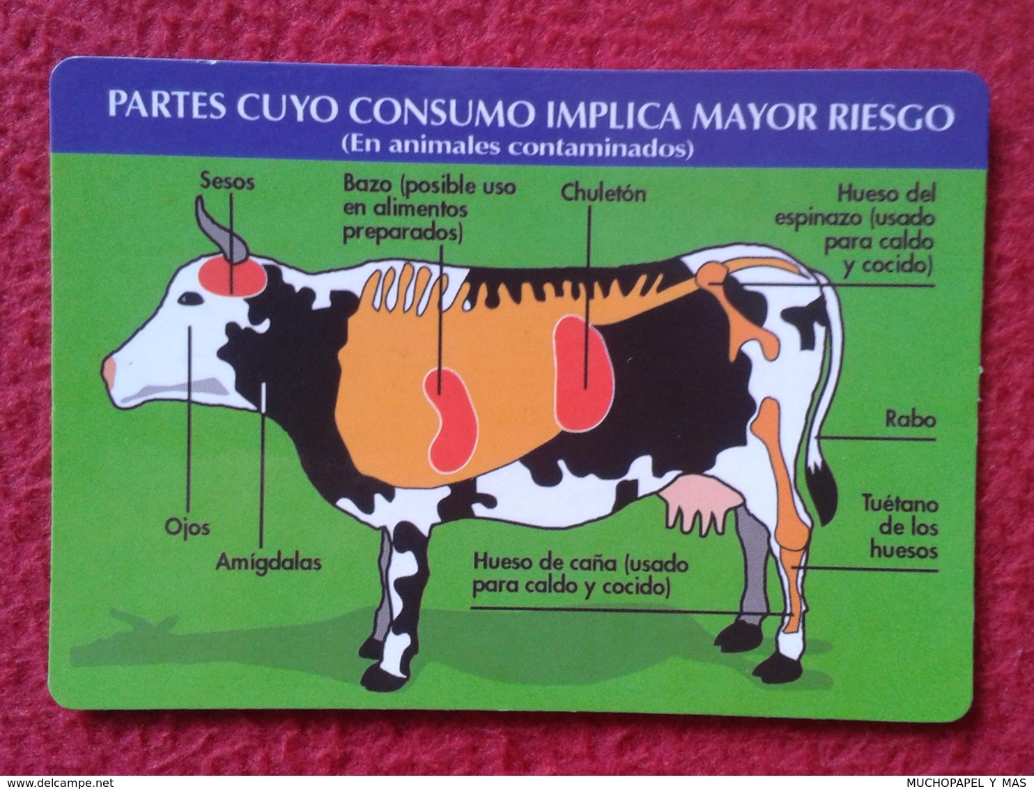 CALENDARIO DE BOLSILLO CALENDAR VACA COW VACHE KUH Encefalopatía Espongiforme Bovina Bovine Spongiform Encephalopathy ? - Tamaño Pequeño : 2001-...