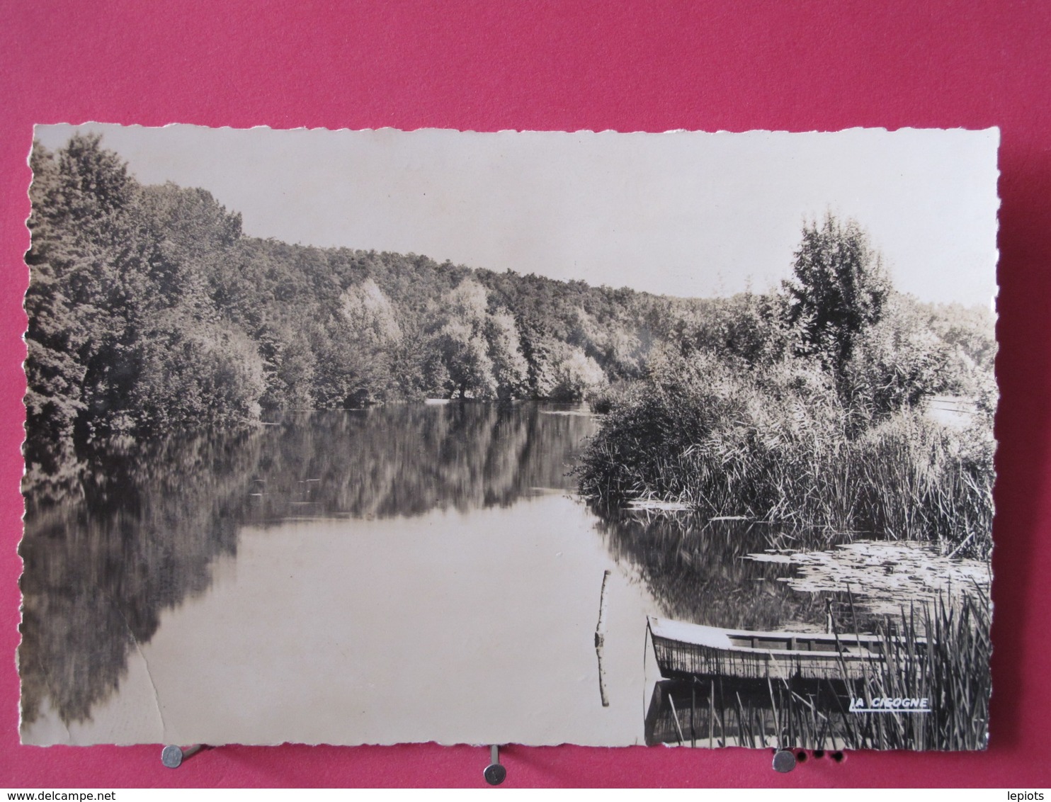 Visuel Pas Très Courant - 16 - Cognac - Les Rives De La Charente - Scans Recto Verso - Cognac