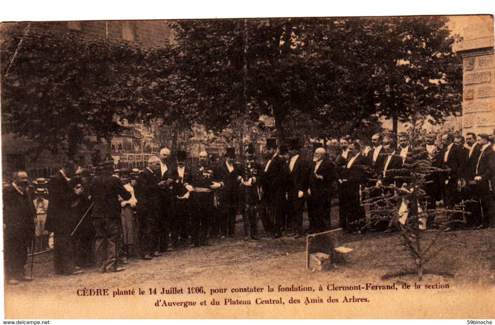 Clermont-Ferrand.Cèdre Planté Le 14 Juillet 1906. Société Des Amis Des Arbres. - Clermont Ferrand