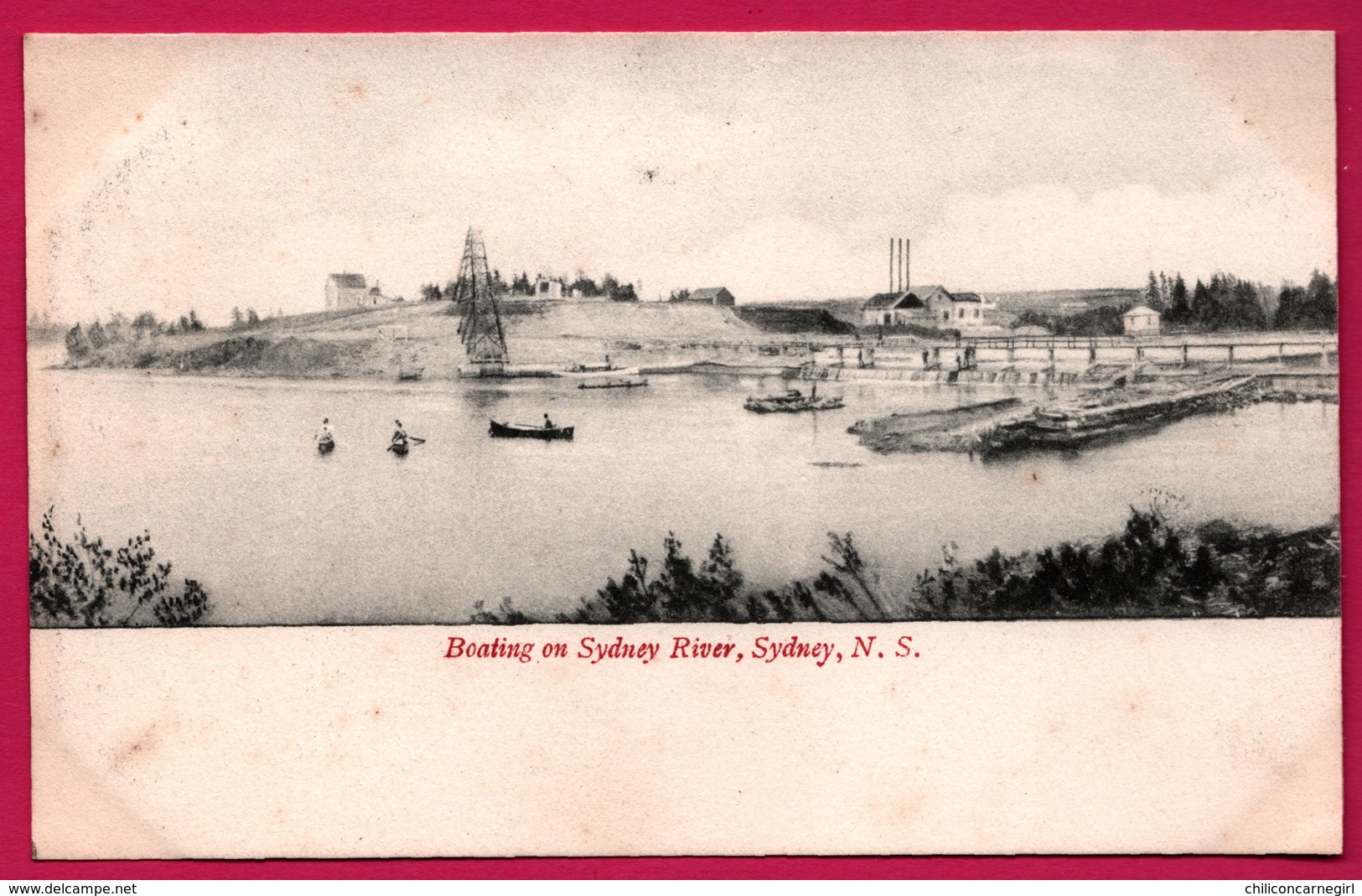 Australie - Sydney - Boating On Sydney River - Animée - N.S. - Cape Breton