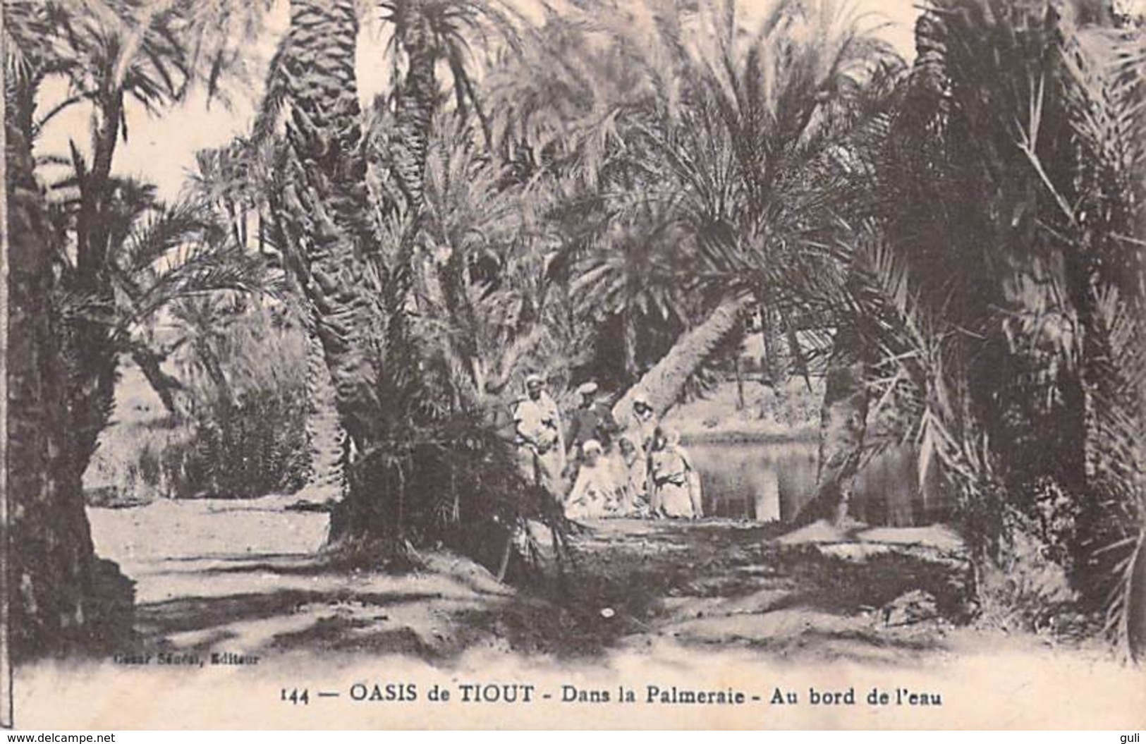 Afrique-Maroc (province De TAROUDANT /Souss-Massa-Drâa) Oasis De Tiout Dans La Palmeraie Au Bord De L'eau * PRIX FIXE - Sonstige & Ohne Zuordnung