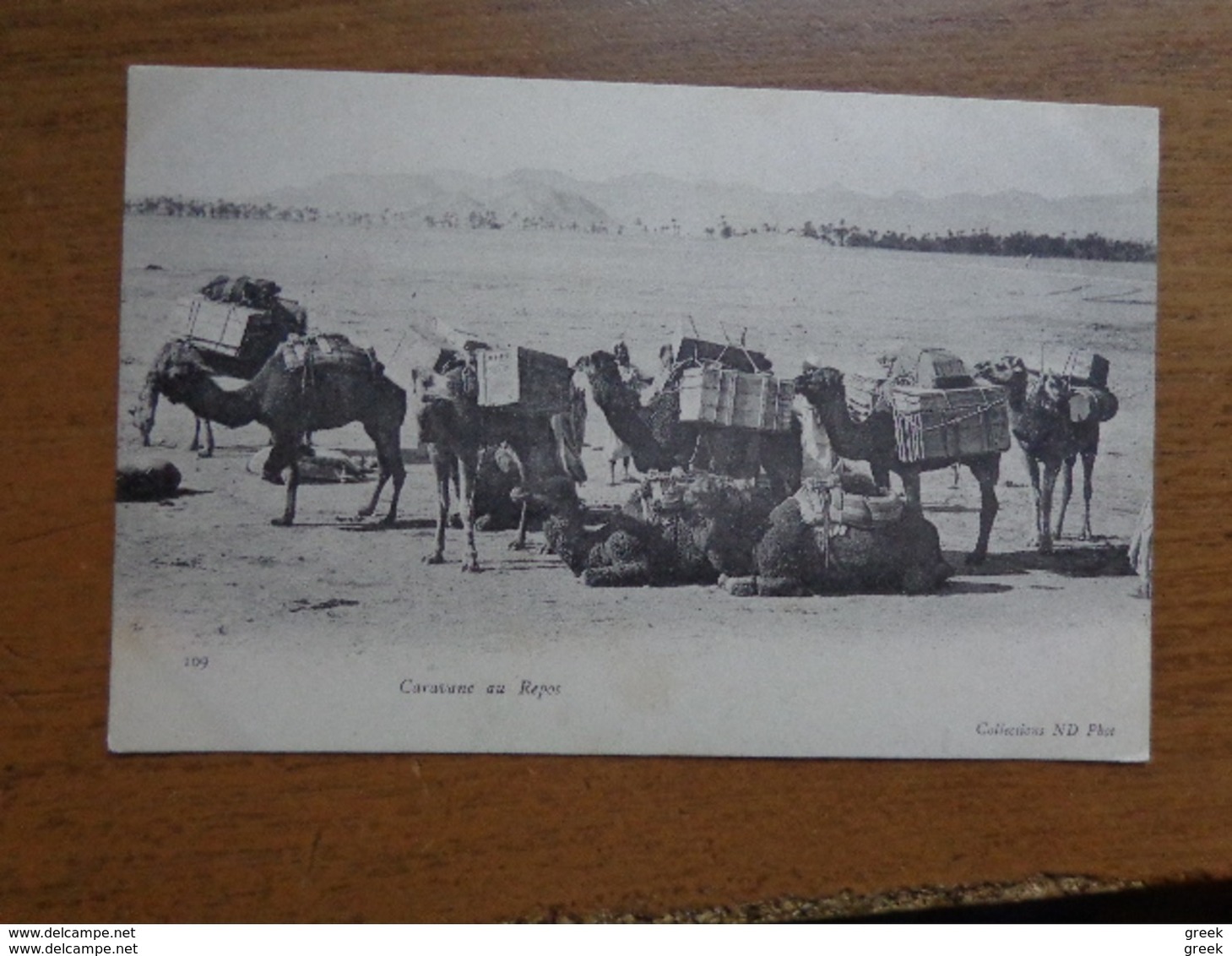 27 oude kaartjes met KAMELEN - CAMELS (zie foto's)