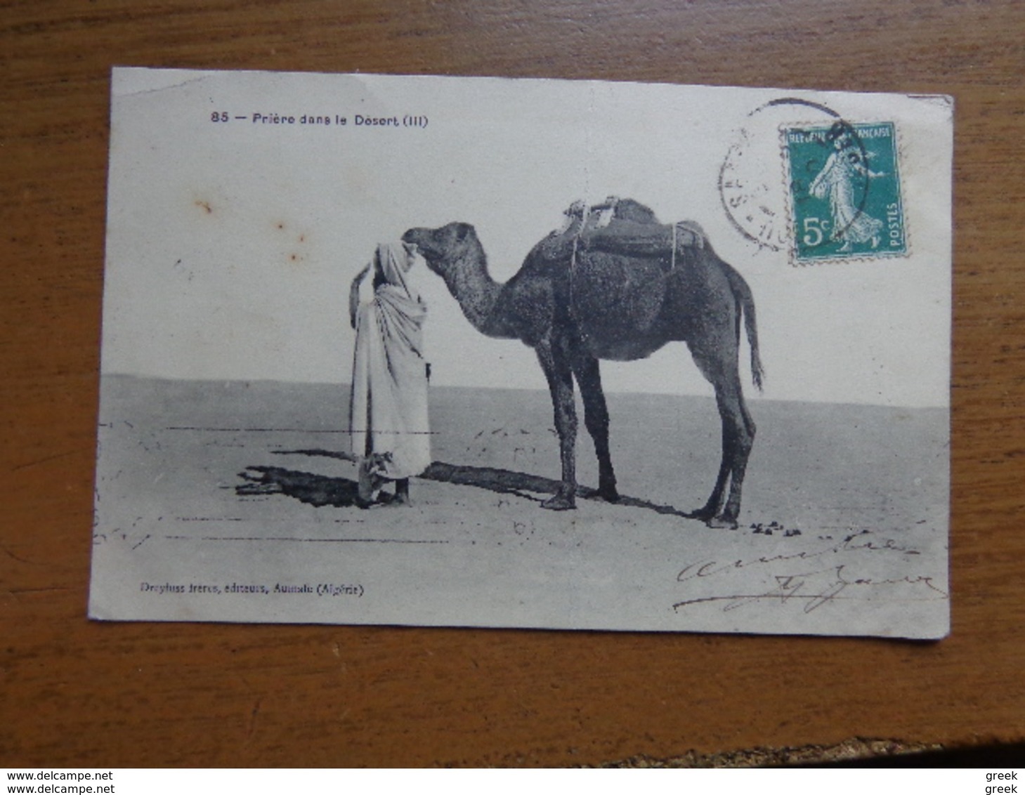 27 oude kaartjes met KAMELEN - CAMELS (zie foto's)