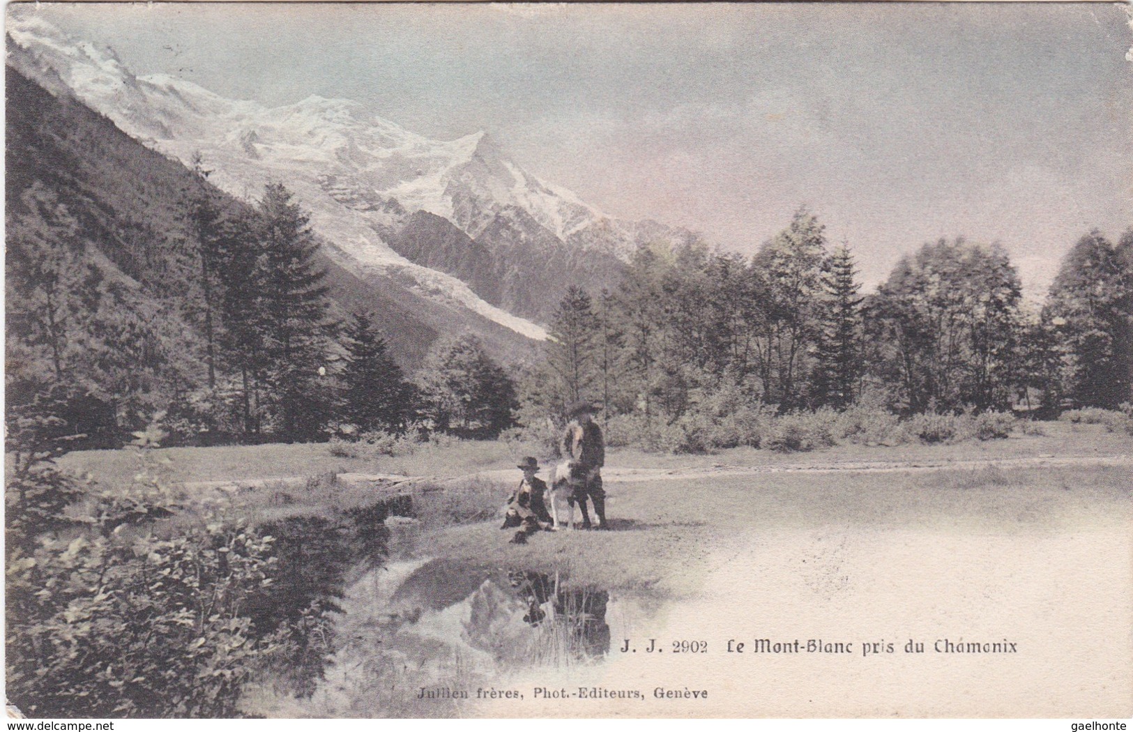 F74-113 LE MONT BLANC PRIS DE CHAMONIX - 2 ENFANTS ET 1 CHIEN - CIRCULE EN 1910 - Chamonix-Mont-Blanc