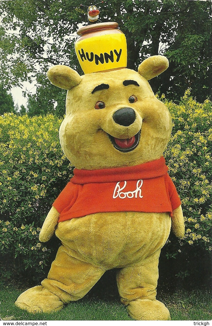 Winnie-the-Pooh - Disneyworld