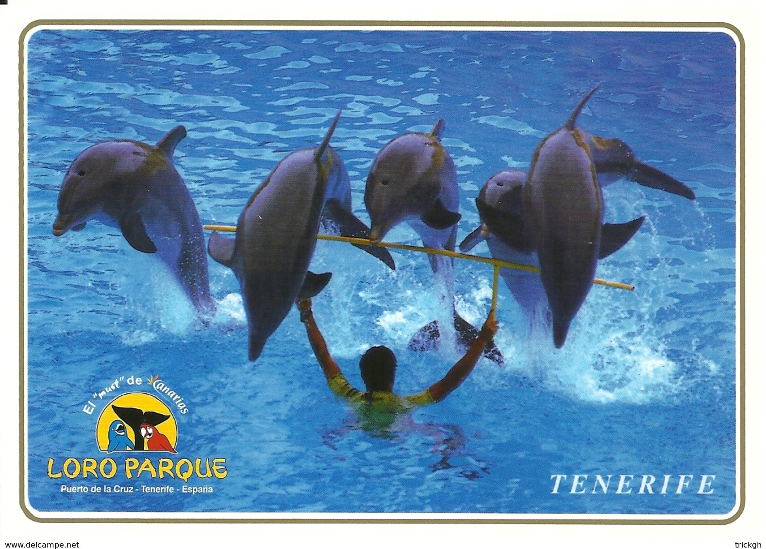 Tenerife Loro Parque / Dauphin Dolphin Dolfijn - Dauphins