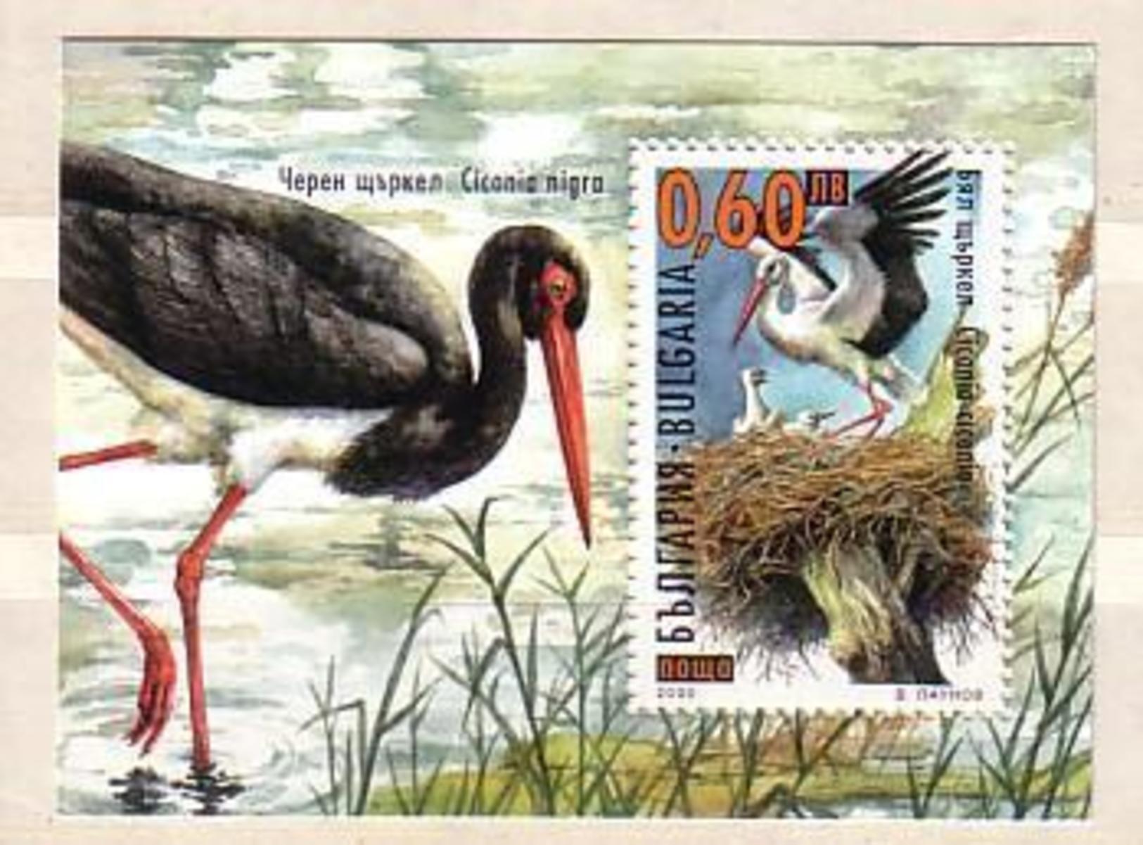 2000  BIRDS - Stork   S/S-MNH  BULGARIA  / Bulgarie - Nuevos