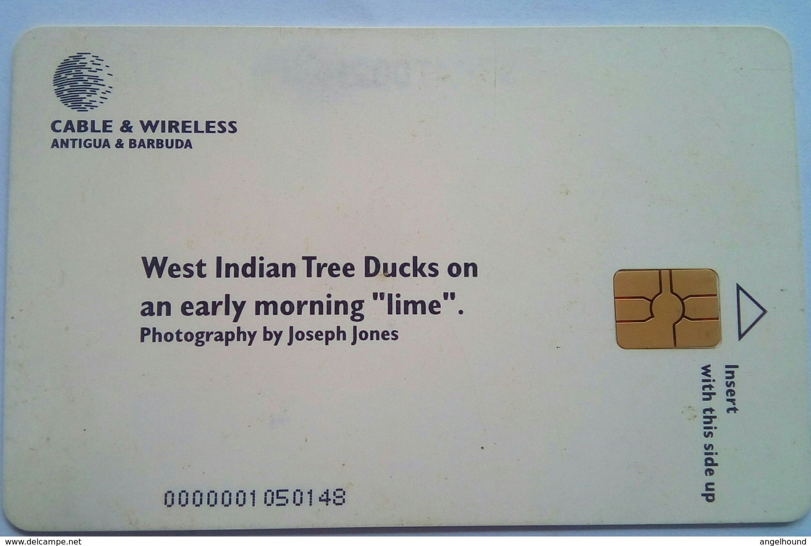 West Indian Tree Duck EC$10 - Antigua E Barbuda