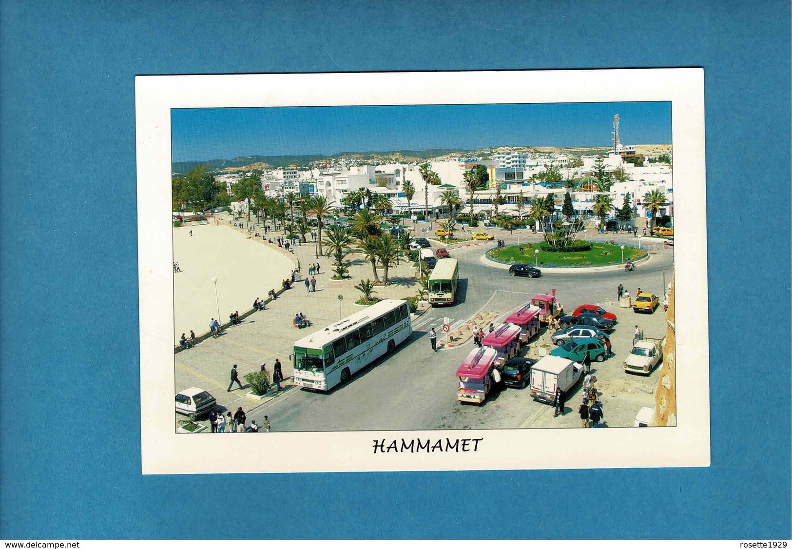 BUS ET VIEILLES AUTOS A HAMMAMET - Bus & Autocars