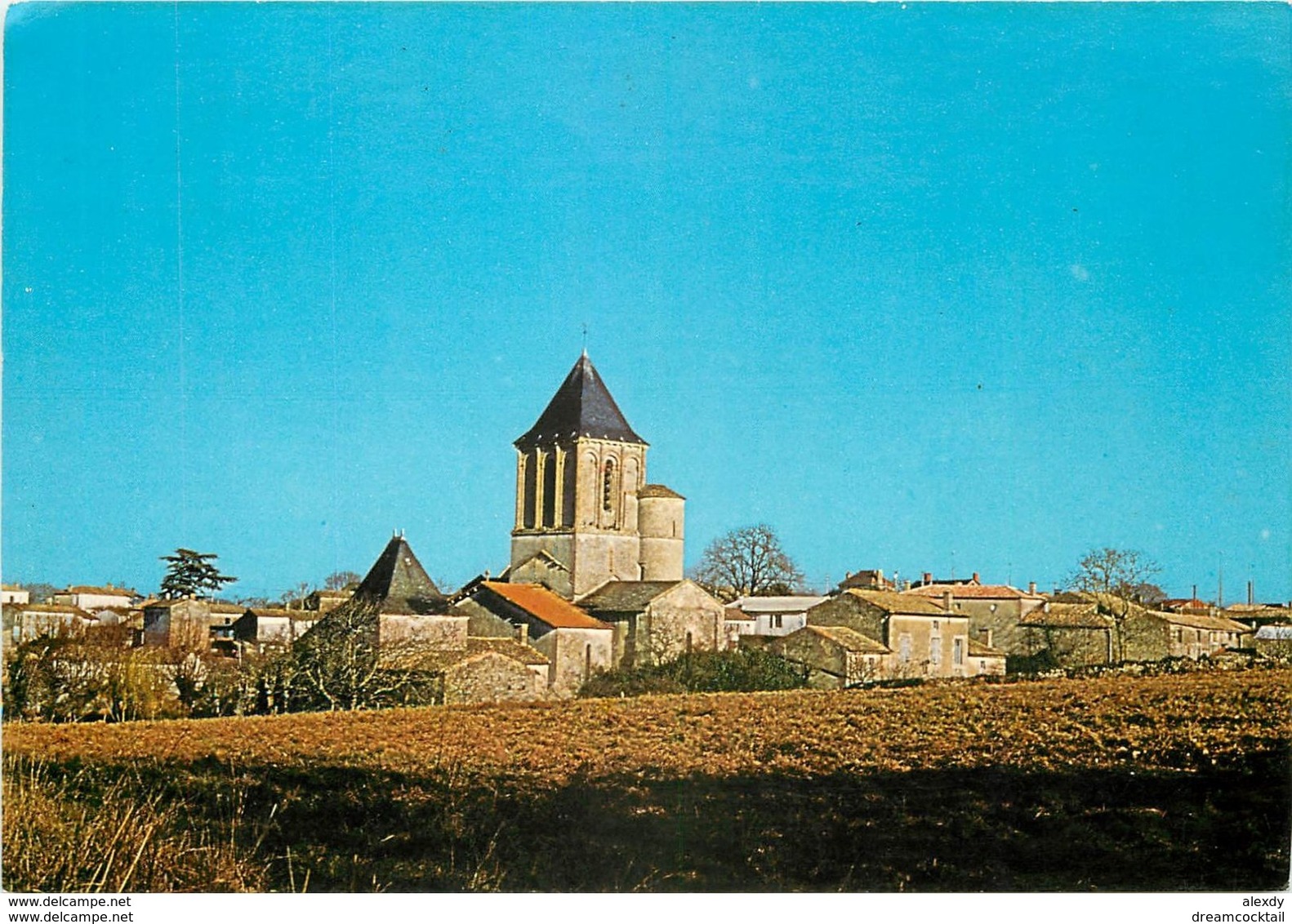 Photo Cpsm Cpm 79 VERRINES-SOUS-CELLES 1983 - Autres & Non Classés