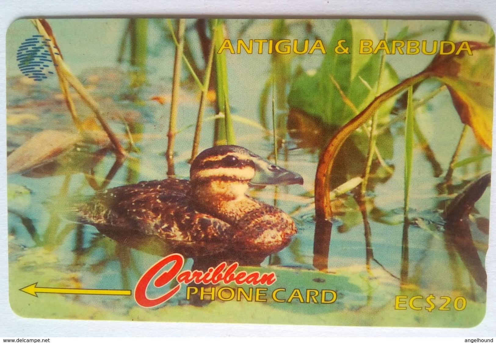 104CATD Masked Duck EC$20   Slash C/n - Antigua E Barbuda