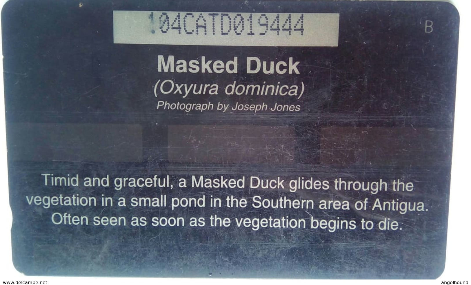 104CATD Masked Duck EC$20   Slash C/n - Antigua And Barbuda