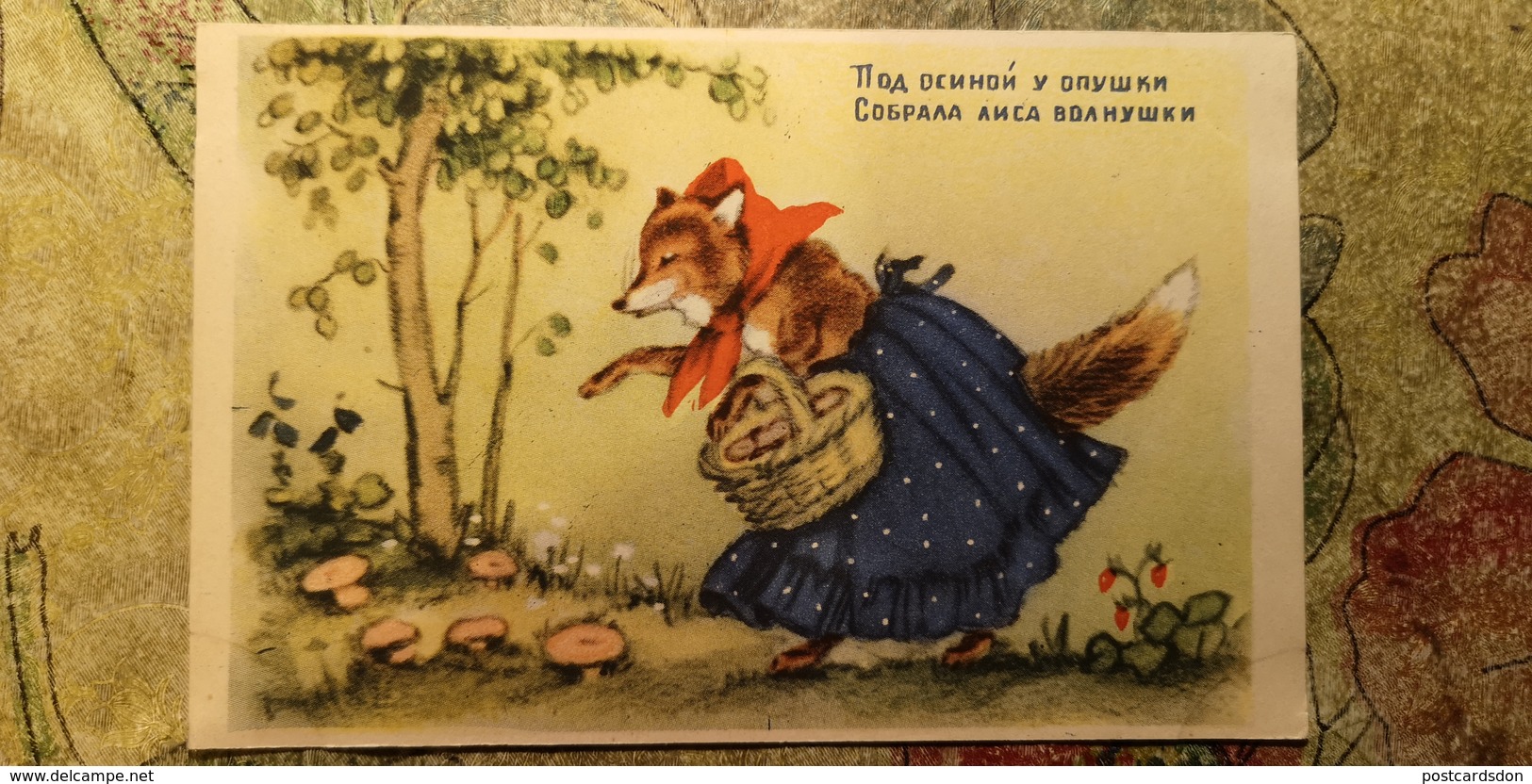 FOX AND MUSHROOMS - OLD PC 1954 -  - Mushroom - Champignon - Woolly Milkcap - Champignons