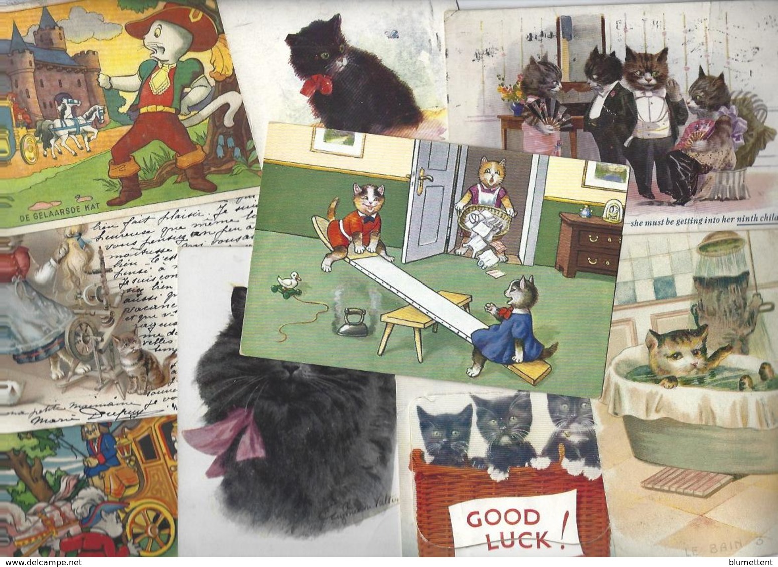 Lot 1587 De 10 CPA Chat Chats Cat Katze Déstockage Pour Revendeurs Ou Collectionneurs - 5 - 99 Postcards