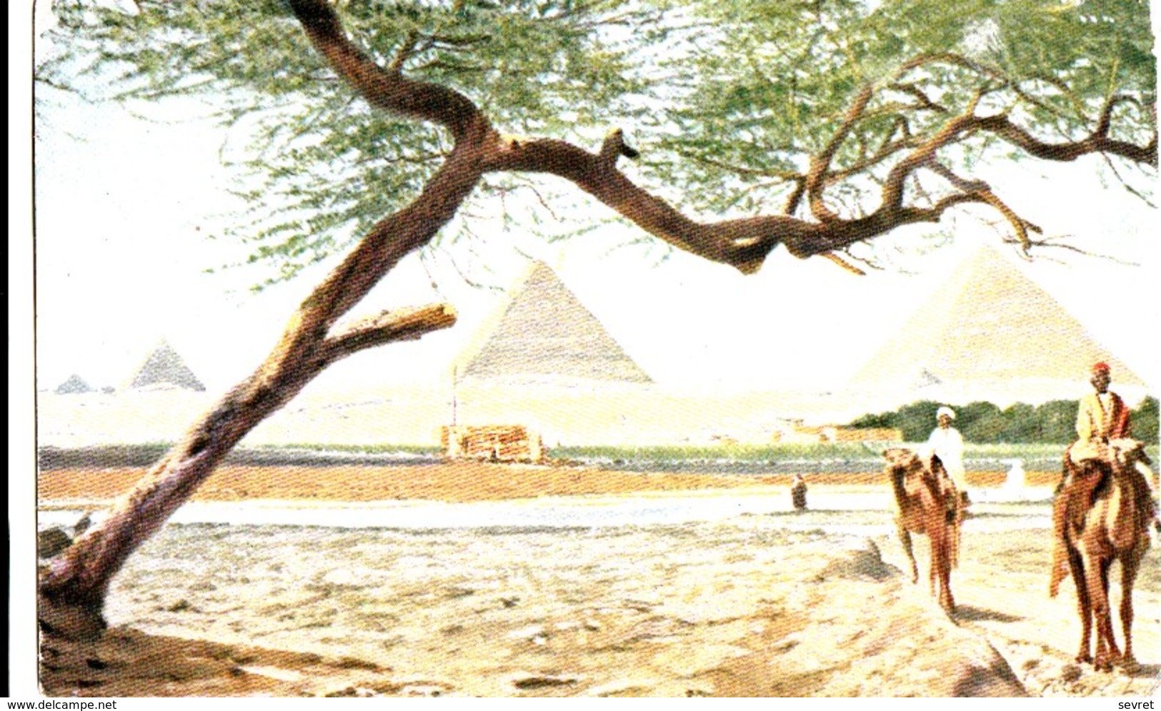 Paysage Près Des Pyramides. - Belle Carte Aquarellée - Pyramids