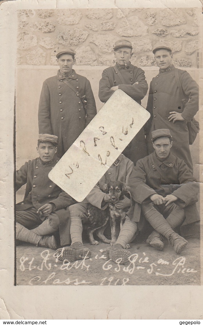 VERSAILLES - Militaires De La Classe 1918 Du 81 ème Régiment D' Artillerie   ( Carte-photo 44  ) - Weltkrieg 1914-18