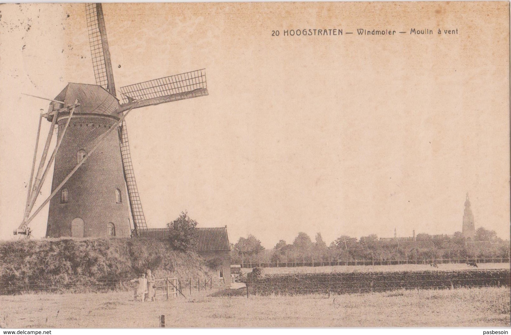 HOOGSTRATEN  Windmoler   Moulin à Vent - Hoogstraten