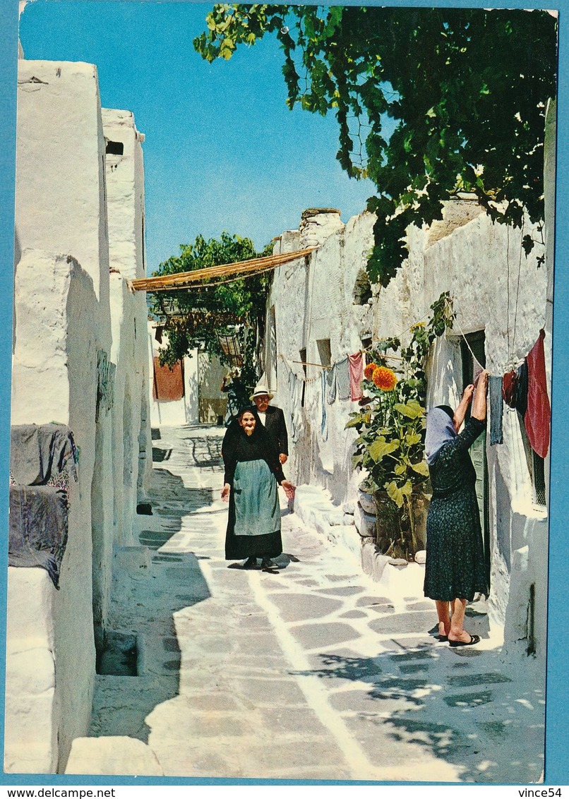 AEGINA - Island - Ile - Picturesque Road - Ruelle Pittoresque - Griechenland