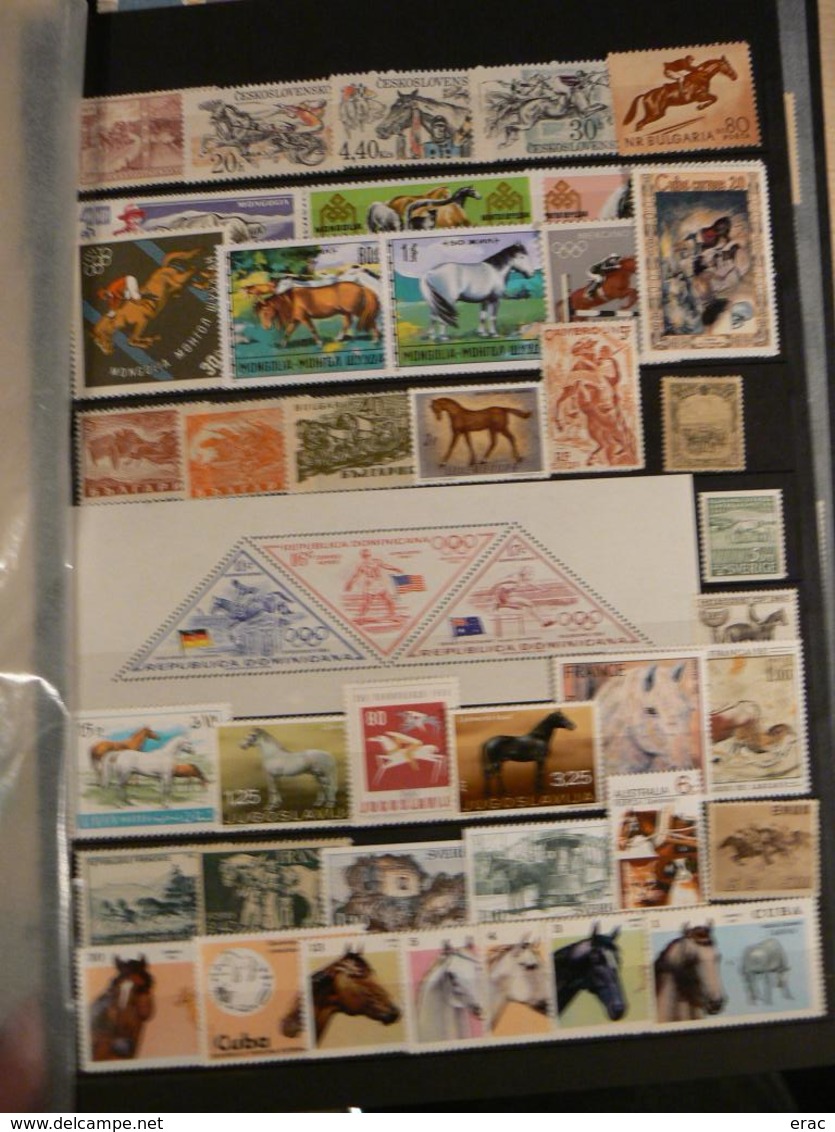 Lot De Timbres Thème Cheval / Hippisme - Majorité Neufs ** - Pays Variés - Collections (sans Albums)