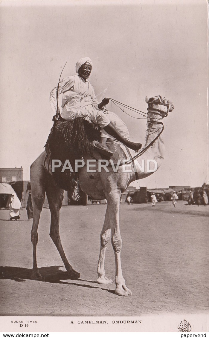 Sudan  OMDURMAN A Camelman  Su 743 - Soudan