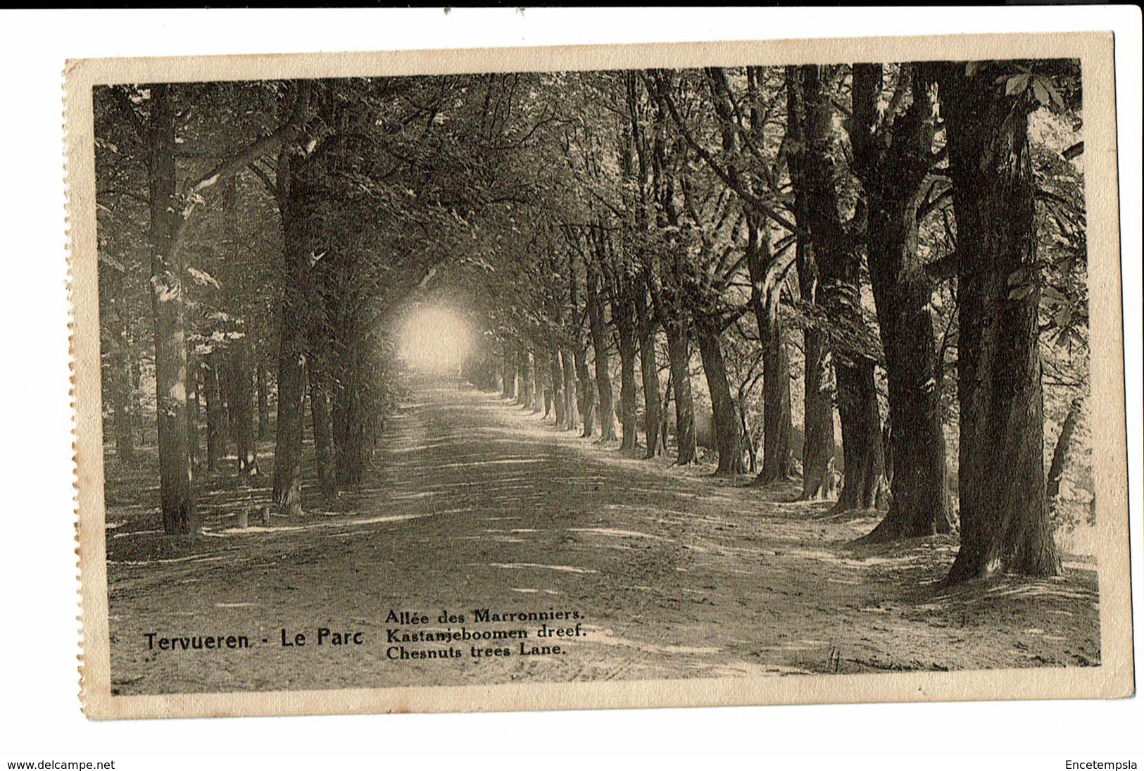 CPA - Carte Postale Belgique -Tervuren - Musée Du Congo "Belge" -Son Parc VM226 - Tervuren