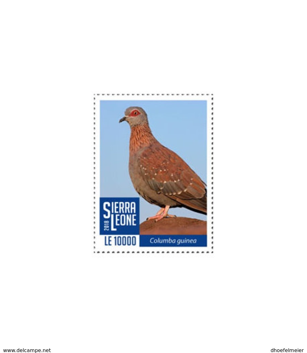 SIERRA LEONE 2018 MNH Red Pigeon 1v - OFFICIAL ISSUE - DH1902 - Sierra Leone (1961-...)