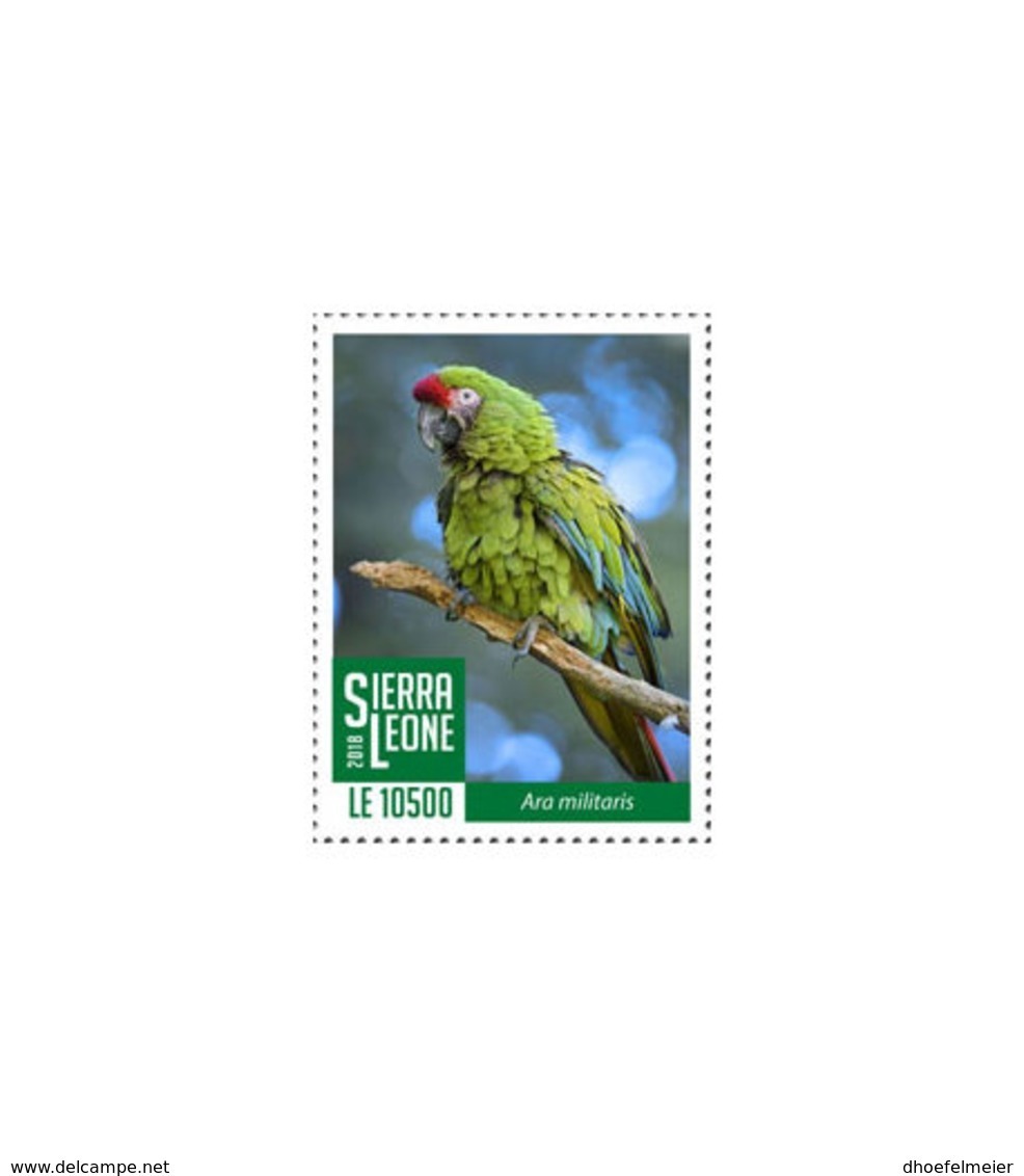 SIERRA LEONE 2018 MNH Green Parrot 1v - OFFICIAL ISSUE - DH1902 - Sierra Leone (1961-...)