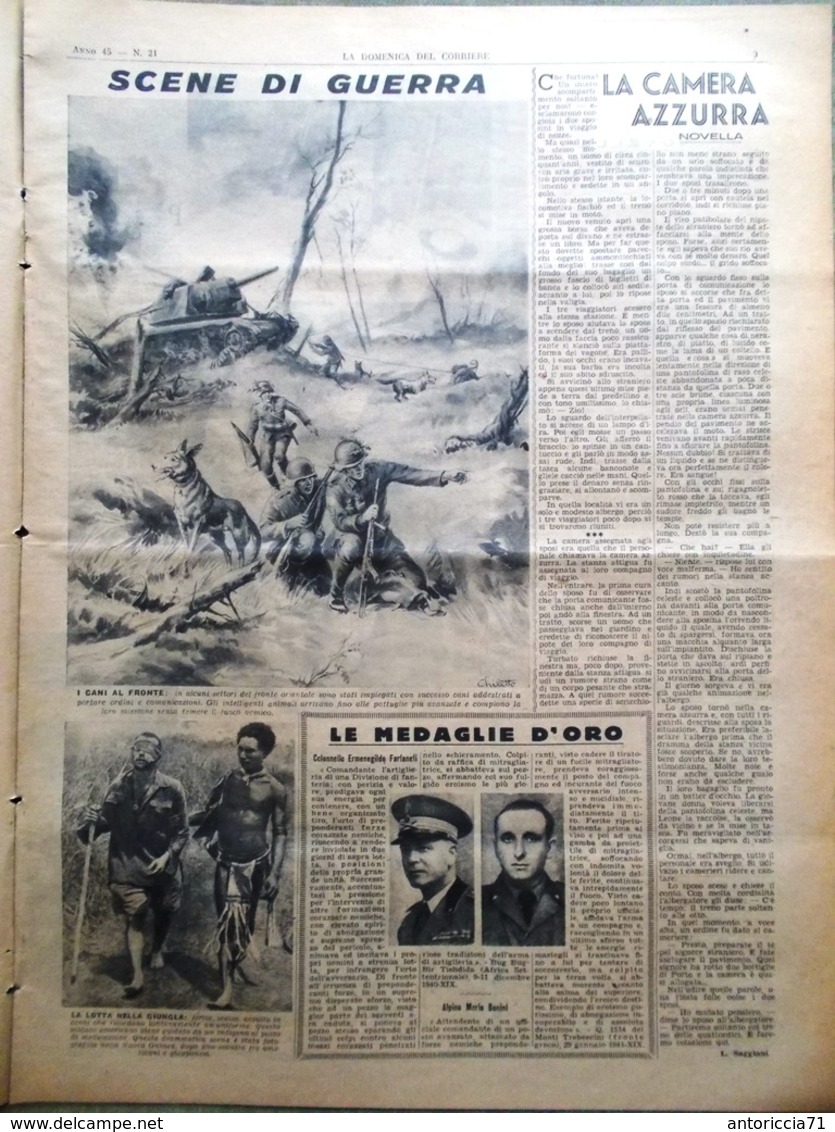 La Domenica Del Corriere 23 Maggio 1943 WW2 Corrida Cani Africa Canterbury Vele - Oorlog 1939-45