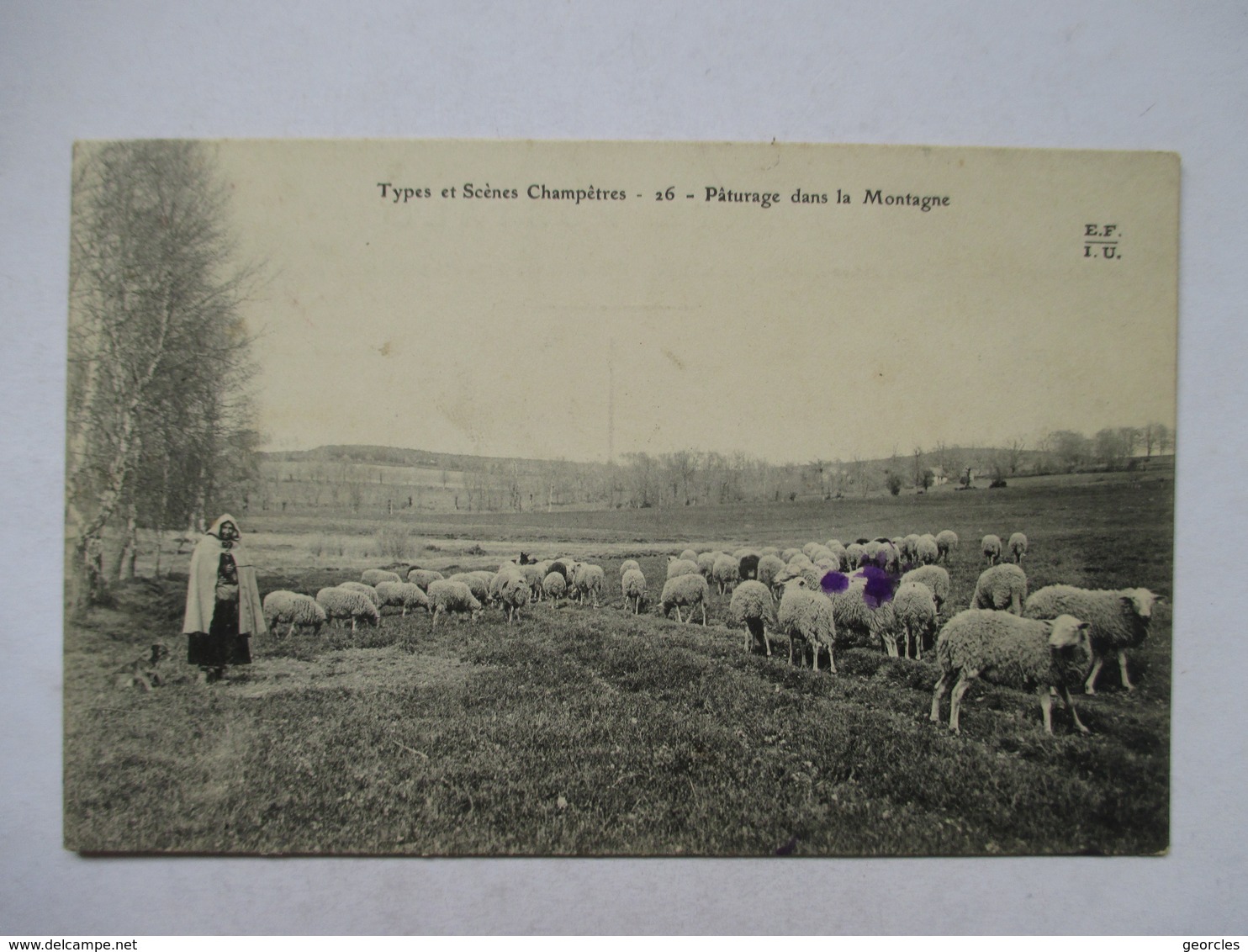 TYPES ET SCENES  CHAMPETRES  -  GARDEUSE DE MOUTONS         TTB - Elevage