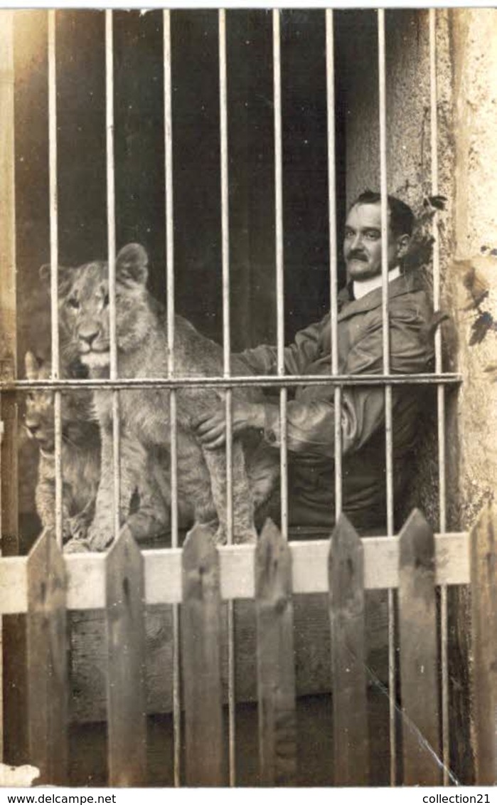 CARTE PHOTO ... LION LIONNE ET LEUR SOIGNEUR ... DRESSEUR - Tigres