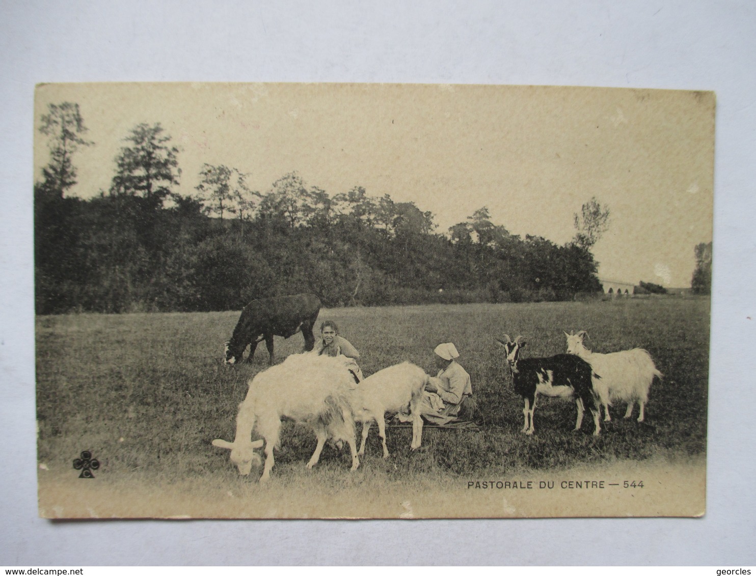 PASTORALE DU CENTRE     -  GARDEUSE DE CHEVRES        TTB - Elevage