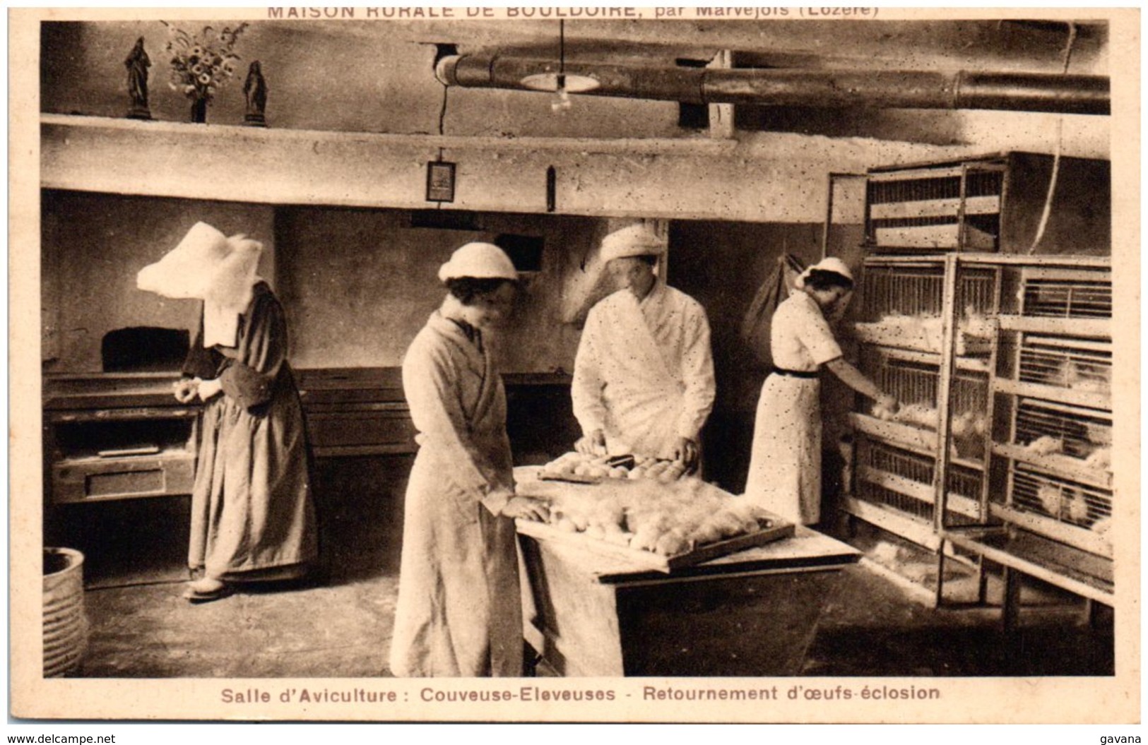 48 Maison Rurale De Bouldoire Par MARVEJOLS - Salle D'aviculture : Couveuse-éleveuses - Retournement D'oeufs éclosiion - Marvejols