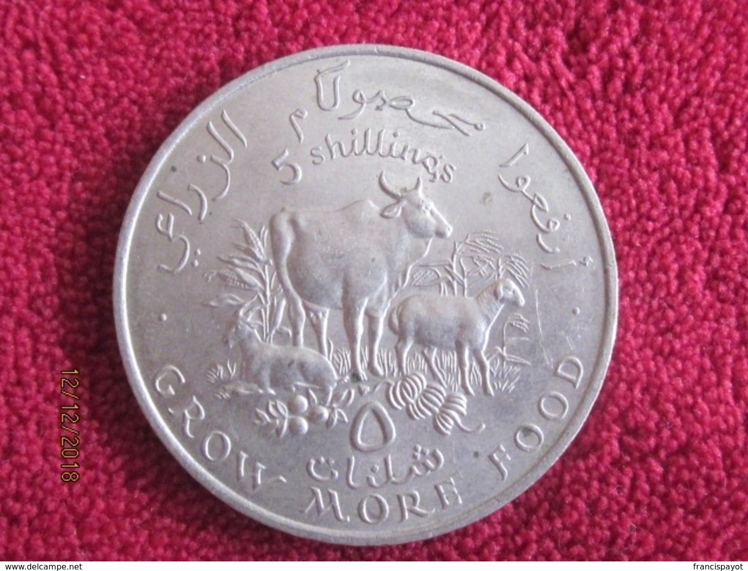 Somalia: 5 Shillings FAO 1970 - Somalie