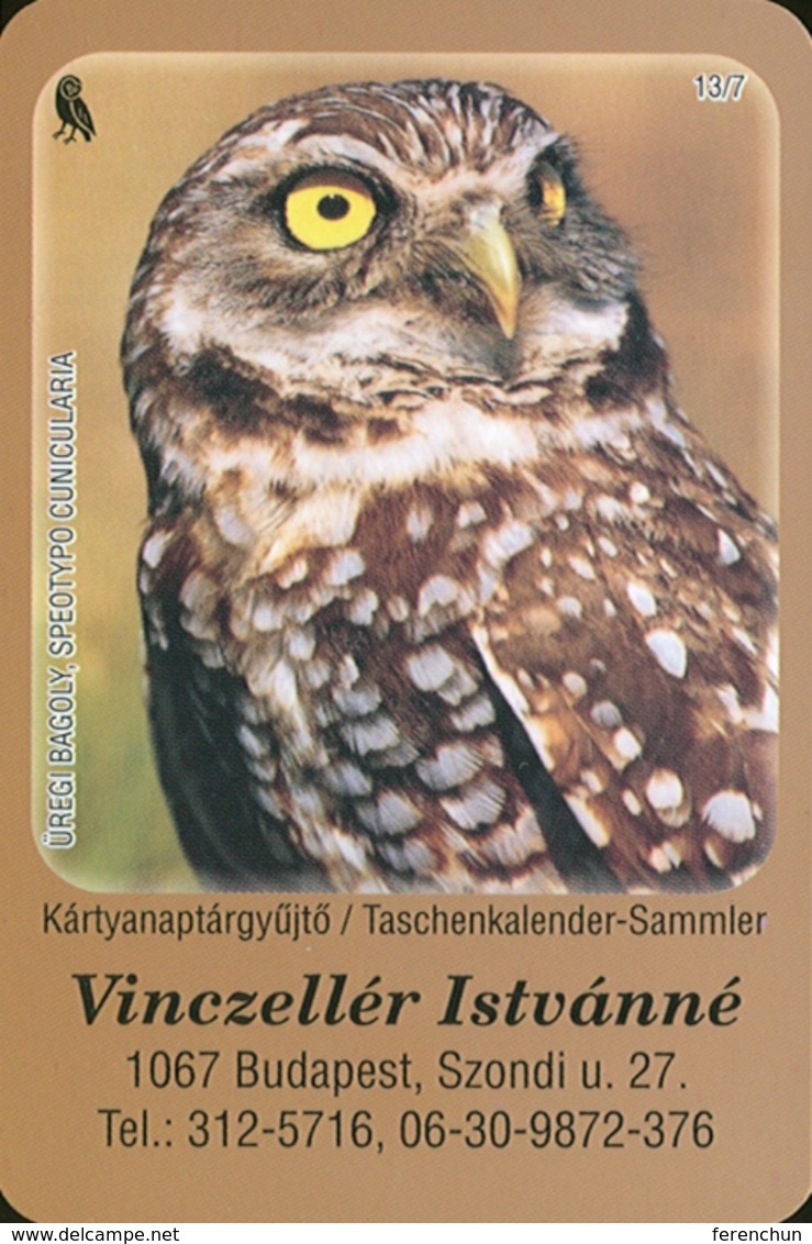 OWL * BURROWING OWL * BIRD * ANIMAL * BUDAPEST * CALENDAR * GY 2008 07 * Hungary - Petit Format : 2001-...