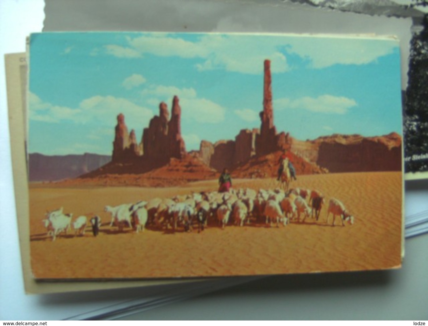 America USA UT Monument Valley Navajo Women With Sheep - Monument Valley