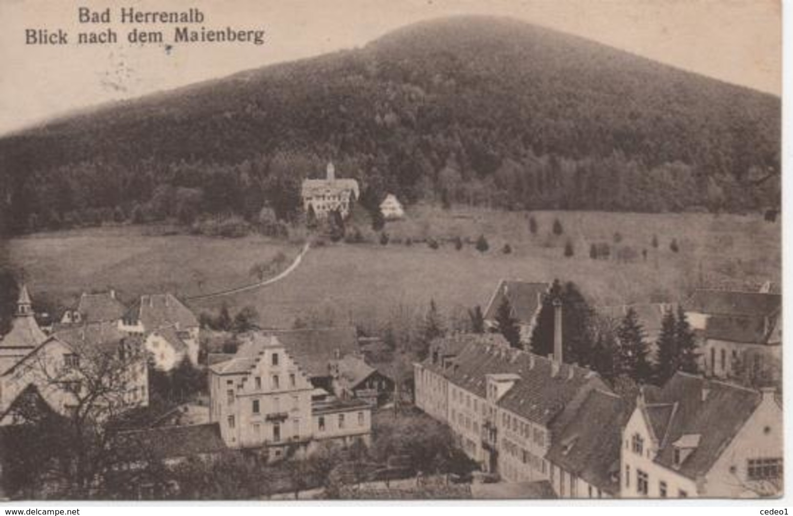 BAD HERRENALB  BLICK NACH DEM MAIENBERG - Bad Herrenalb