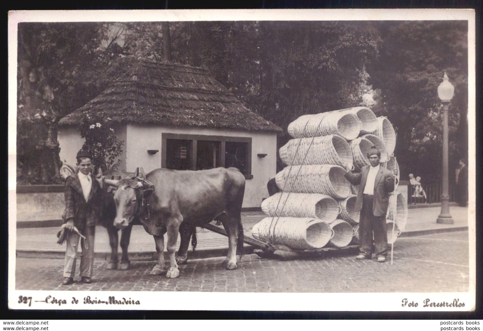 Postal Fotografico: CORÇA De BOIS Cesto De Verga MADEIRA. Vintage Photo Postcard OX CART Wicker Baskets PERESTRELLOS - Madeira