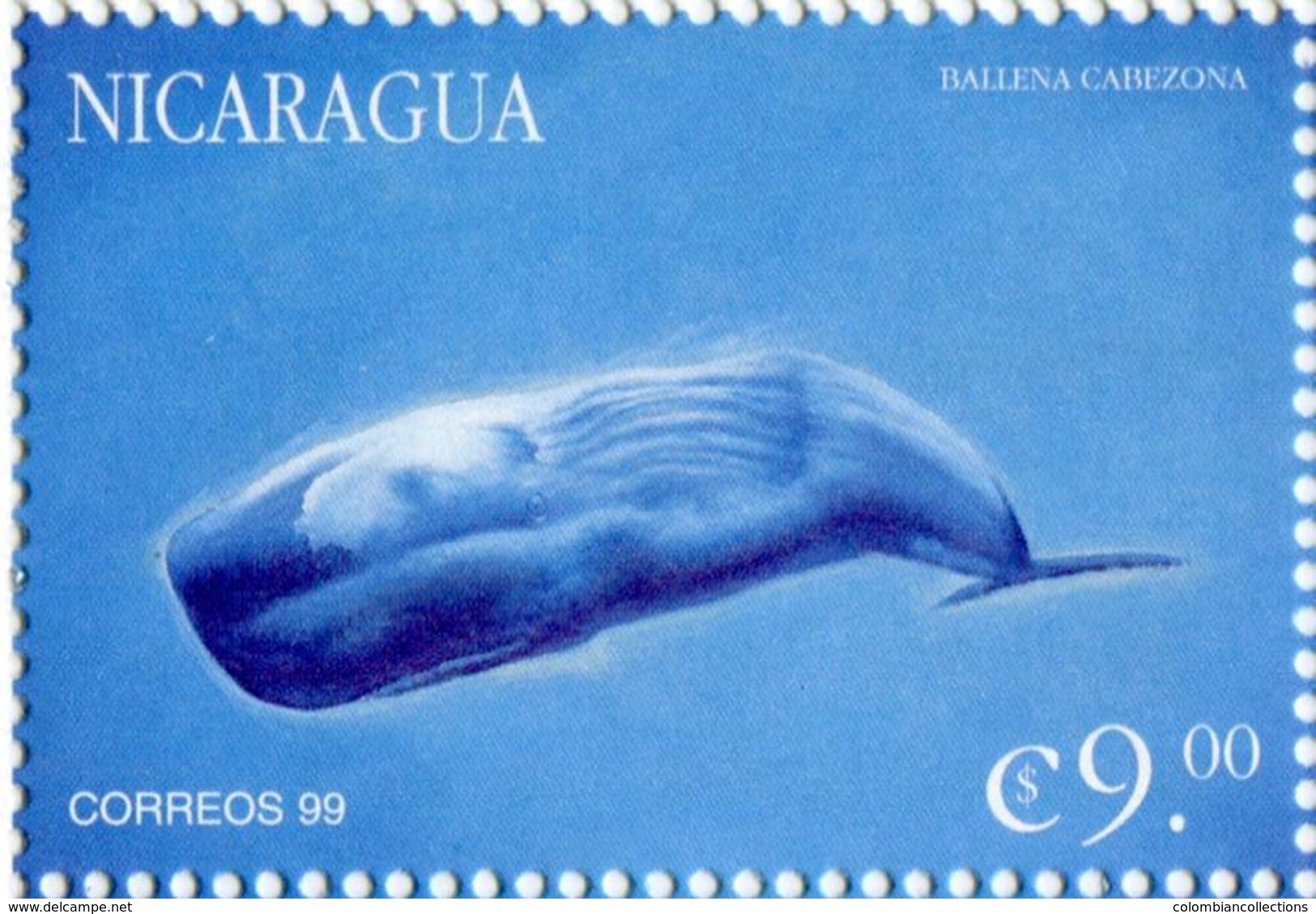 Lote 382b1, Nicaragua, 1999, Sello, Stamp, Vida Marina. Marine Life. Ballena Cabezona, Bighead Whale - Nicaragua