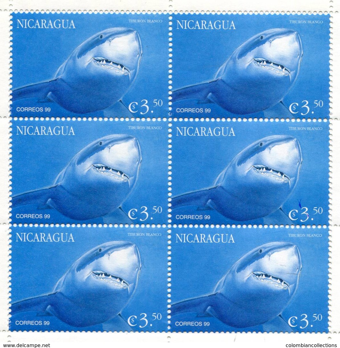 Lote 382d, Nicaragua, 1999, Pliego, Sheet, Vida Marina. Marine Life. Tiburon Blanco, White Shark - Nicaragua
