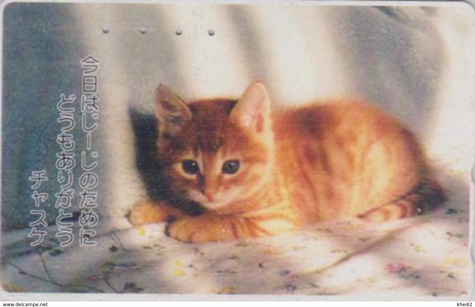 RARE Télécarte Japon / TCP 110-001 - ANIMAL - CHAT - CAT Japan Phonecard - KATZE - GATTO - GATO - KAT -  4934 - Katten