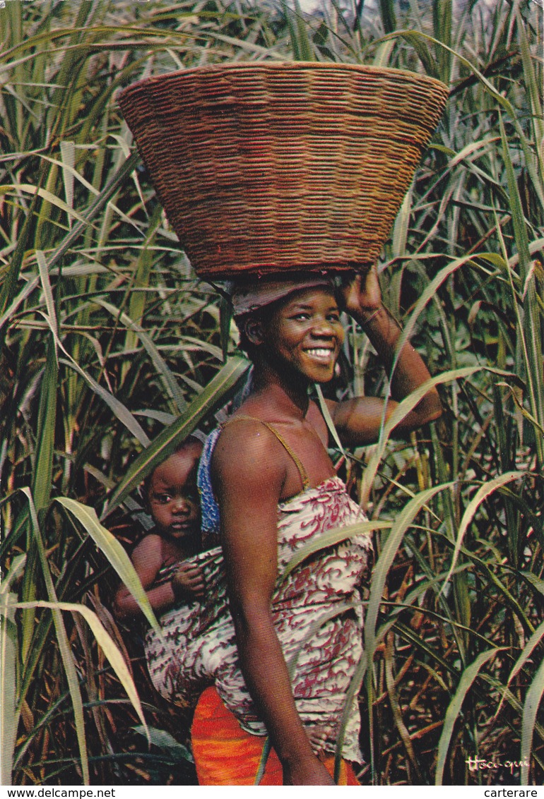 AFRIQUE,AFRICA,SENEGAL - Sénégal