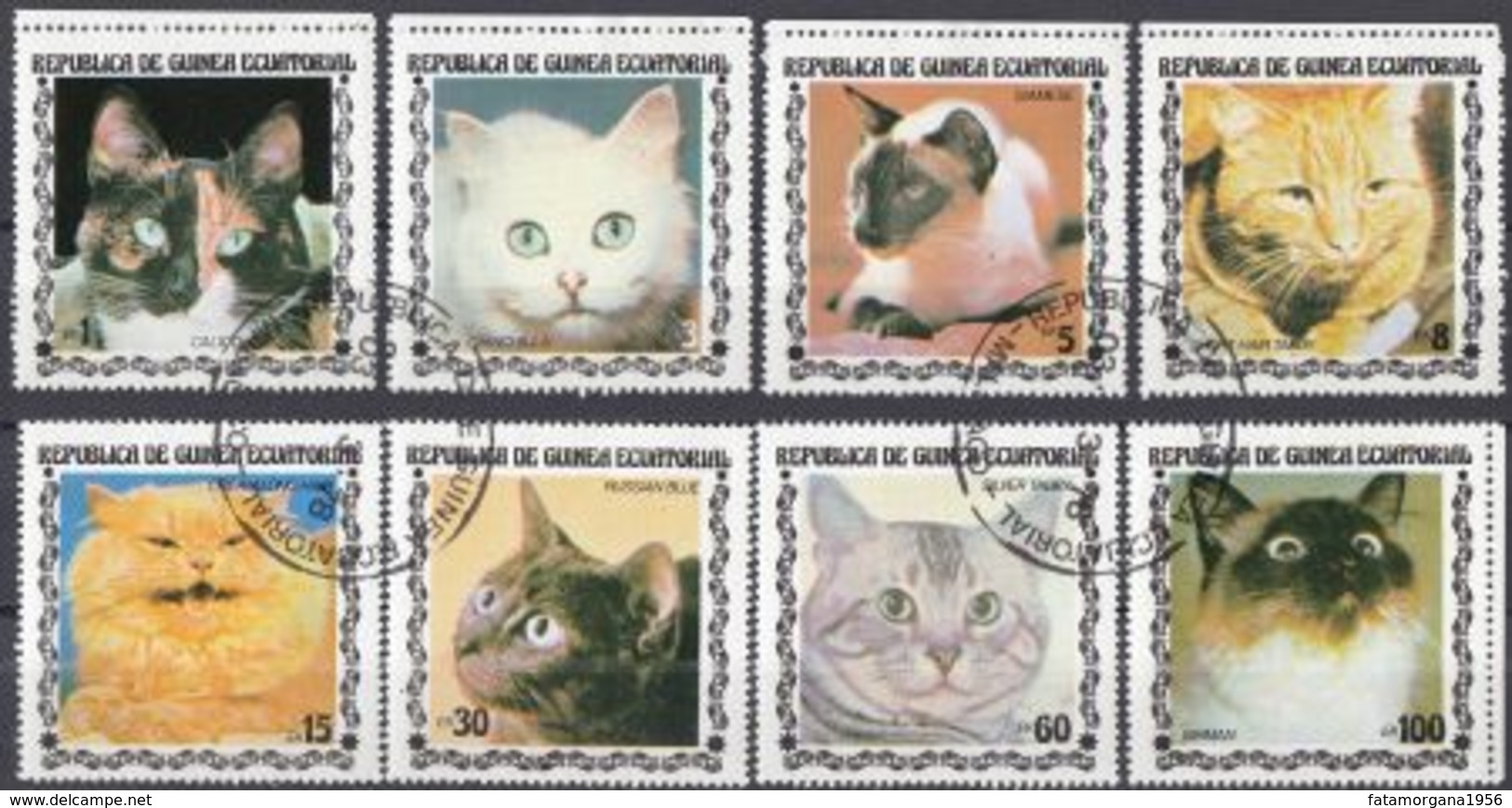 GUINEA EQUATORIALE - 1977 - Serie Completa Usata Di 8 Valori Raffiguranti Gatti Di Razze Diverse. - Gatti