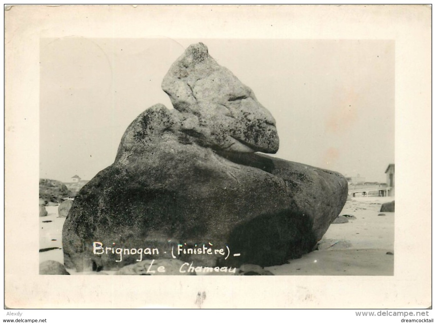 Photo Cpsm Cpm 29 BRIGNOGAN. Le Chameau. Pour Champigny 1951 - Brignogan-Plage