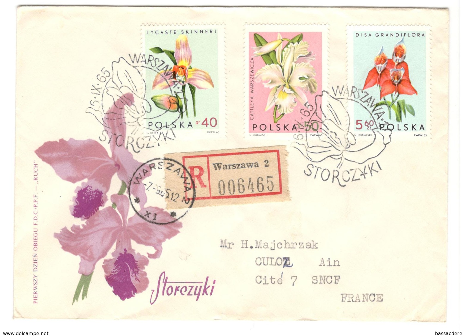 13661 - POLOGNE - Orchids