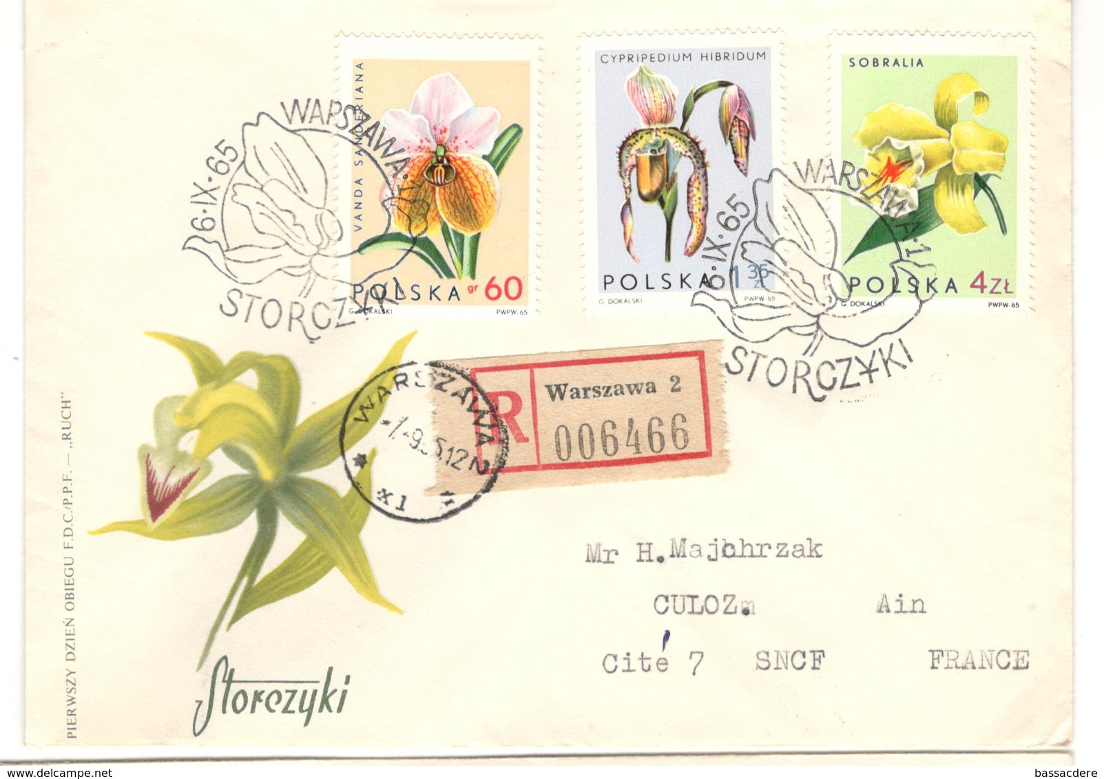 13661 - POLOGNE - Orchids