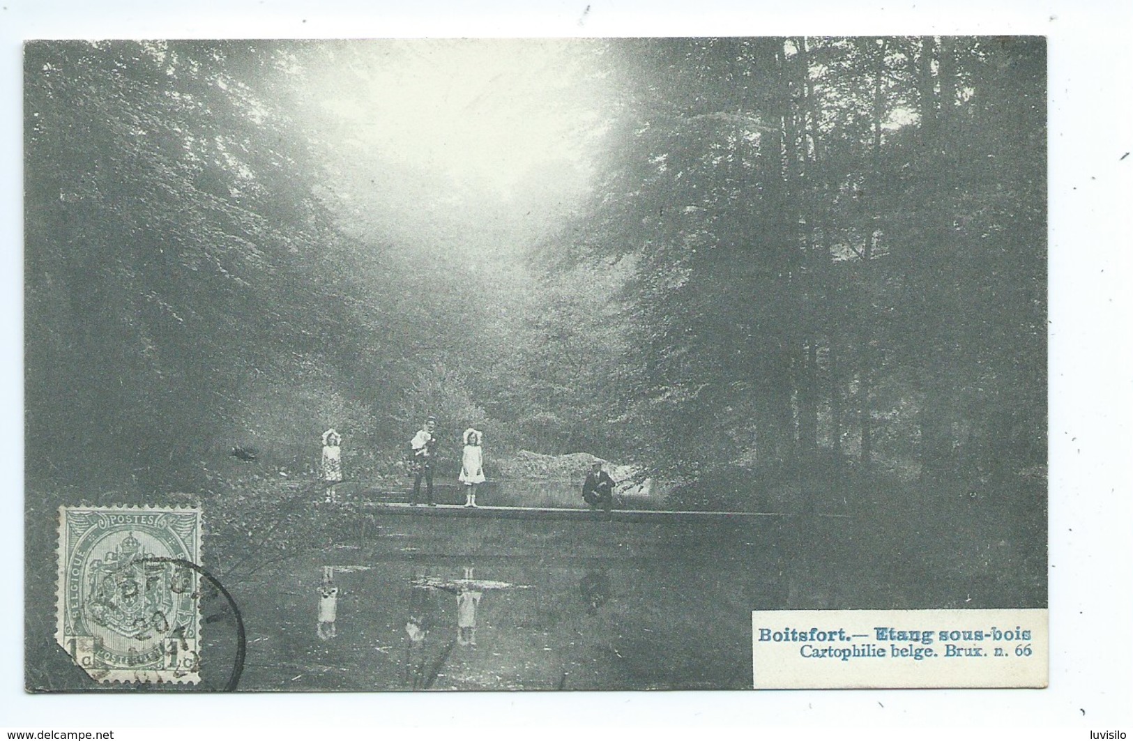 Boitsfort  Etang Sous Bois - Watermaal-Bosvoorde - Watermael-Boitsfort