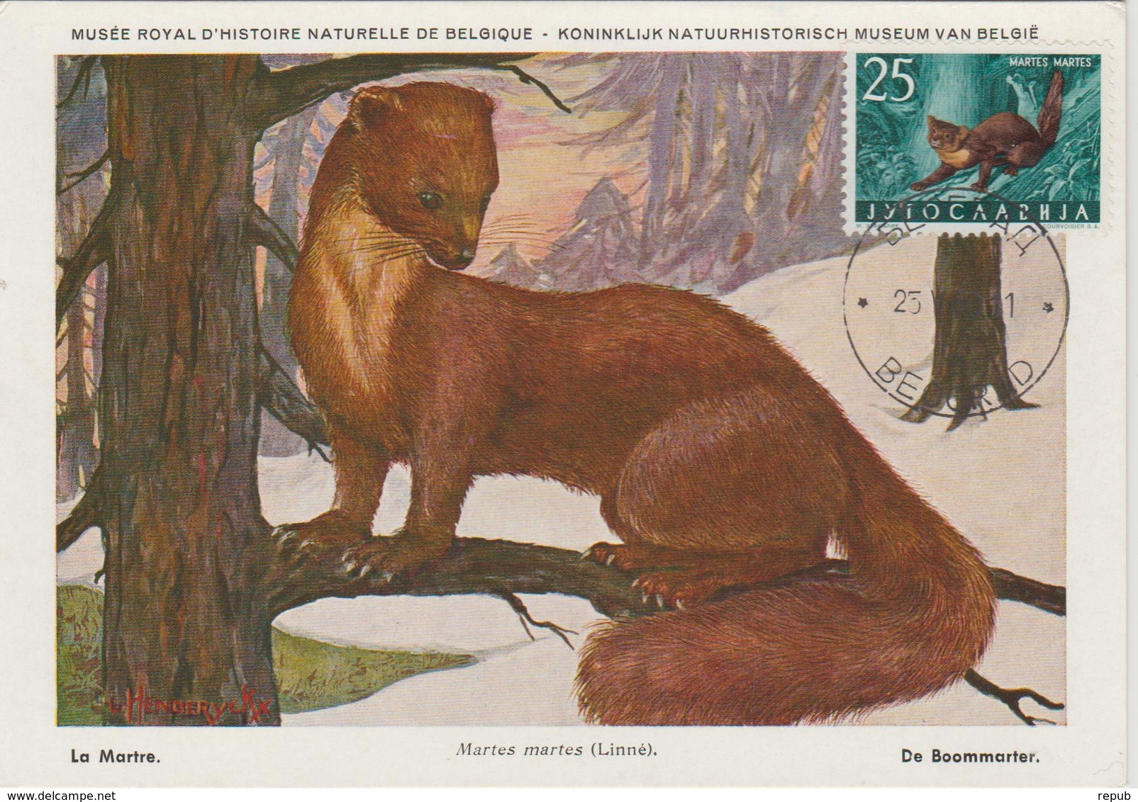 Yougoslavie Carte Maximum Animaux 1960 Marthe 820 - Cartes-maximum